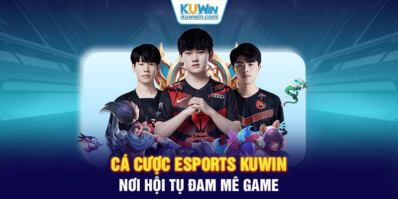 Cá cược eSports KUWIN: Nơi Hội Tụ Đam Mê Game